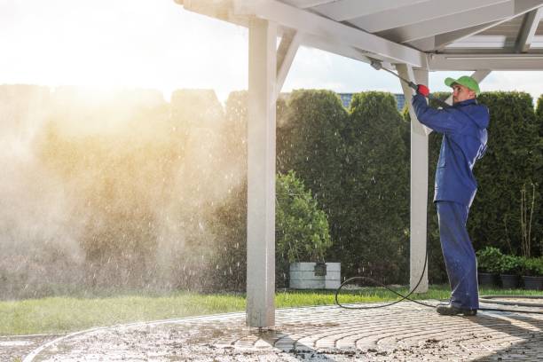 Best Paint Preparation  in Camdenton, MO