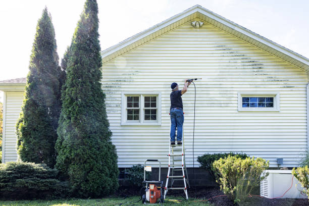 Best Solar Panel Cleaning  in Camdenton, MO